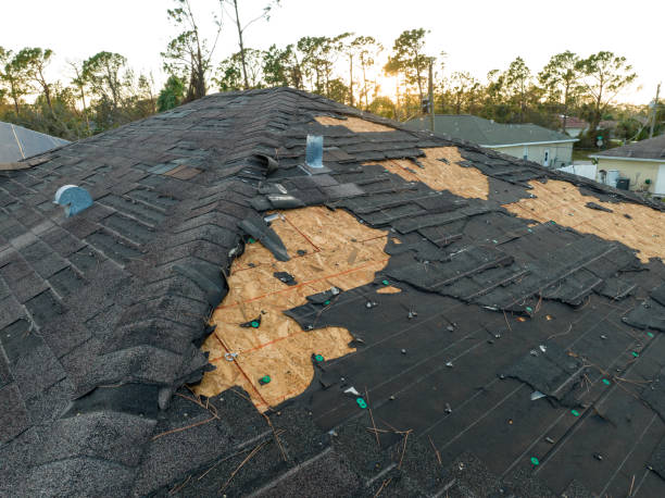 Asphalt Shingles Roofing in Allentown, PA