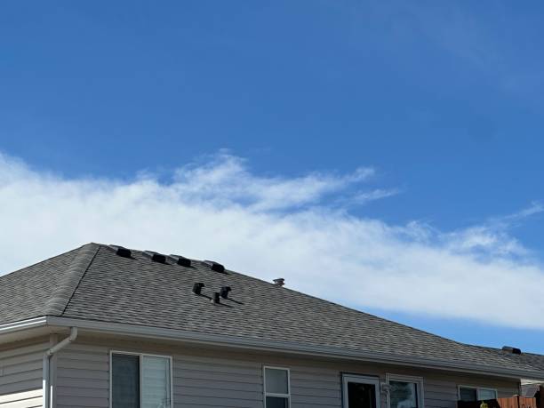 Best Asphalt Shingle Roofing  in Allentown, PA